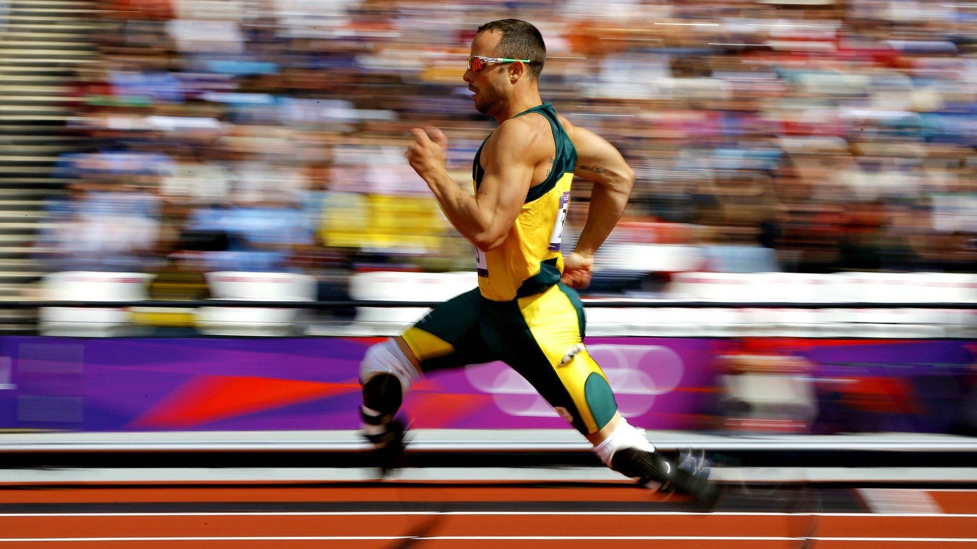 德国马术协会举办国际马术科技大会，推动行业技术交流与合作。