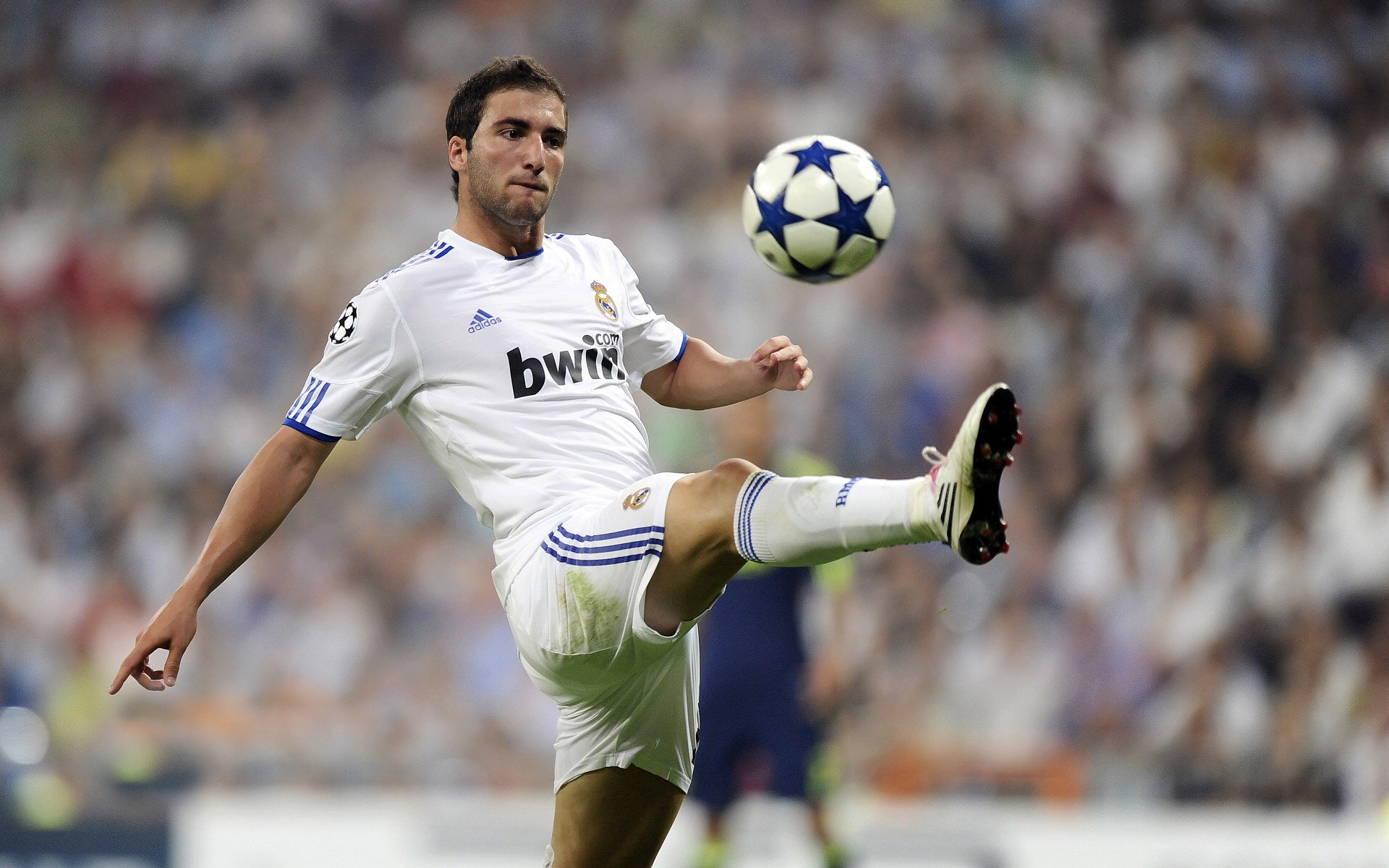 九游sports-法甲球迷文化逐步多元化，互动更频繁，法甲专用足球